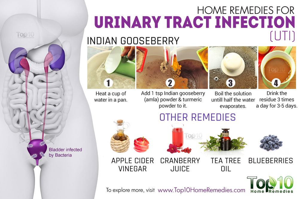 Home Remedies for Urinary Tract Infection (UTI) | Top 10 ...