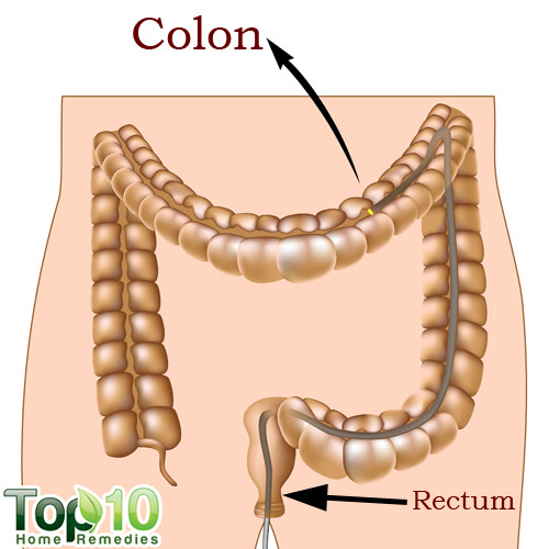 Small Intestine Colon Cleanse