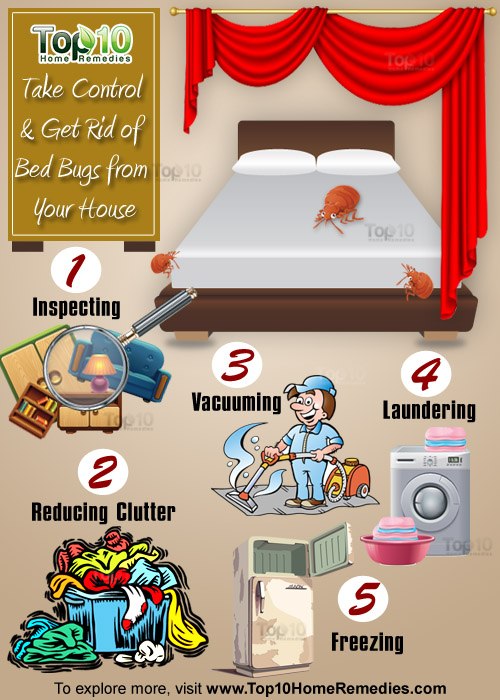 What are some home remedies for bed bugs?
