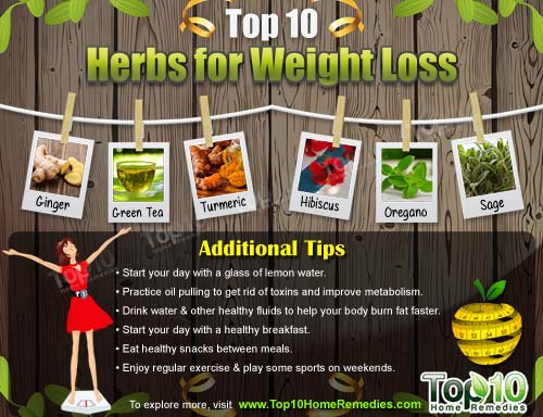 top 10 herbs for weight loss