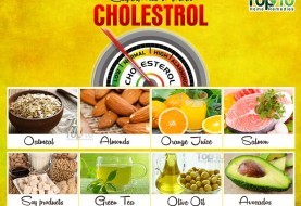 What foods cause high cholesterol?