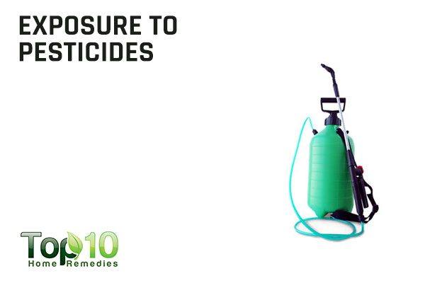 exposure to pesticides causes menstrual irregularities