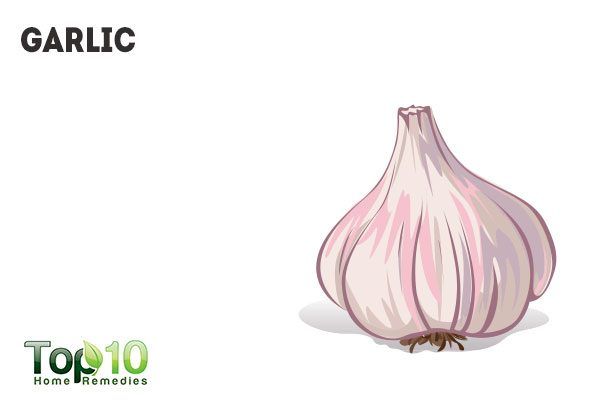 garlic causes body odor and bad breath