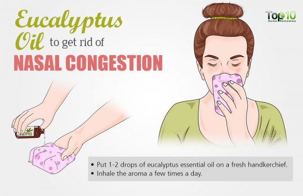 use eucalyptus oil to get rid of nasal congestion