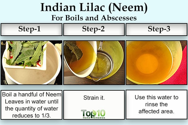 Indian lilac neem for boils and abscesses