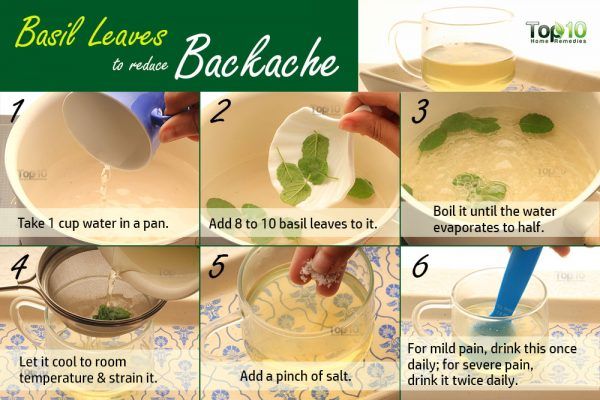 basil tea for backache