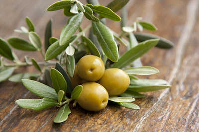 olives leaves