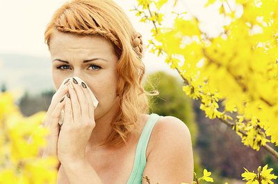 combats allergies