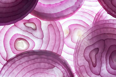 onion cells