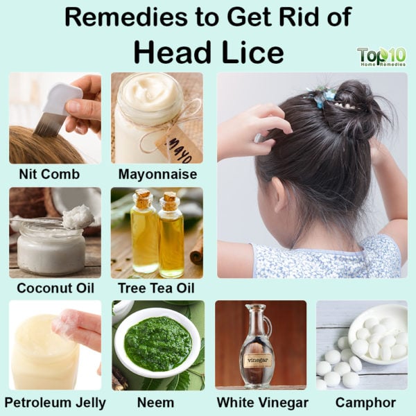 how do you get rid of lice