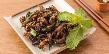 benefits of eating bugs
