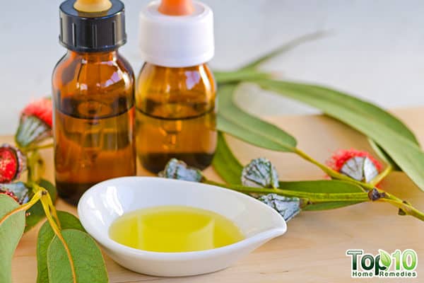 eucalyptus oil reduces pneumonia
