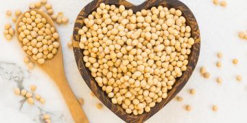 is soy good for health