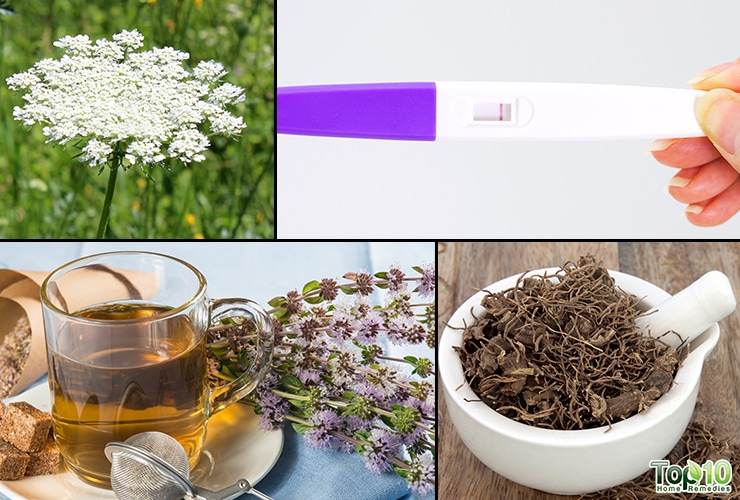 Four Herbs that Act as Natural Birth Control Top 10 Home Remedies