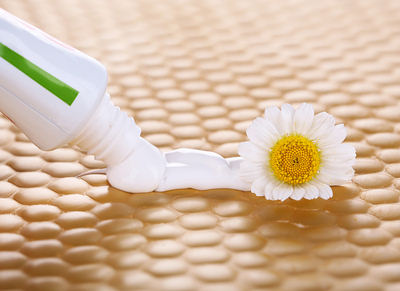 white toothpaste