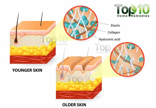 Understanding skin aging