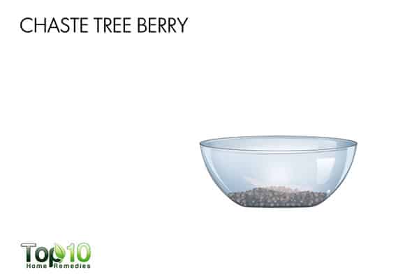 chaste tree berry to balance hormones naturally