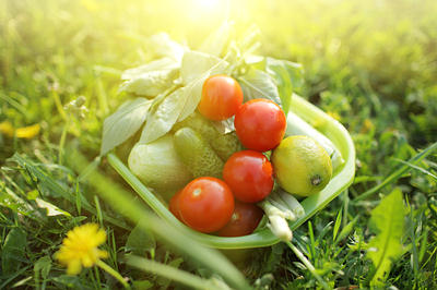 organic foods