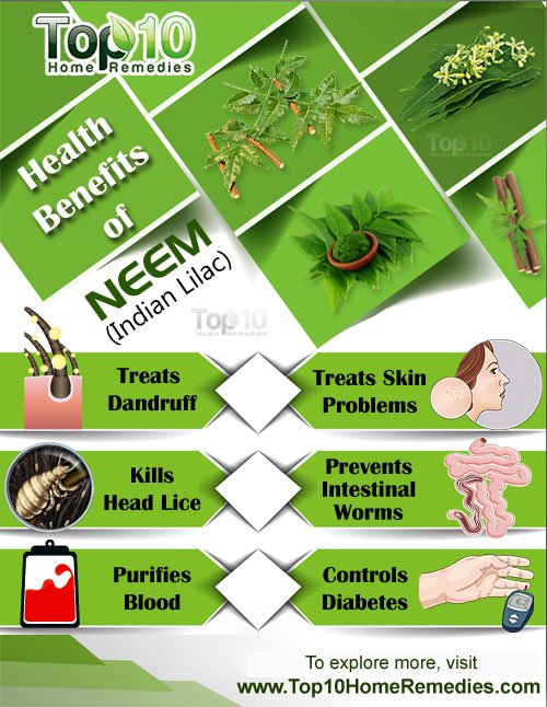 neem health benefits