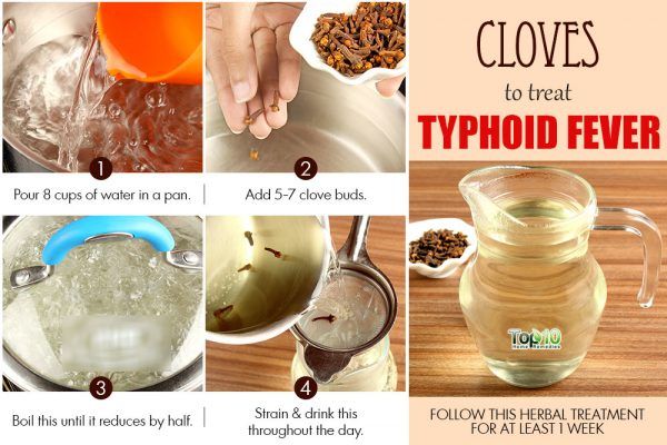 clove tea for typhoid fever