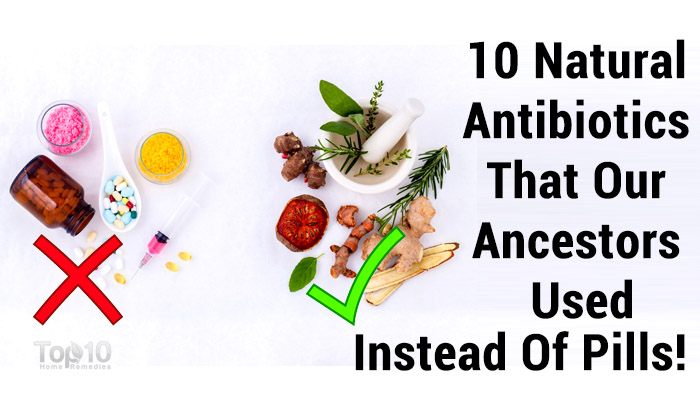 Top 10 Natural Antibiotics  Top 10 Home Remedies