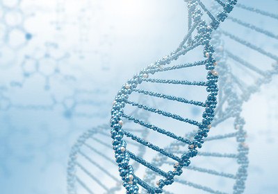 prevents genetic damage