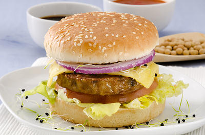 soy burger