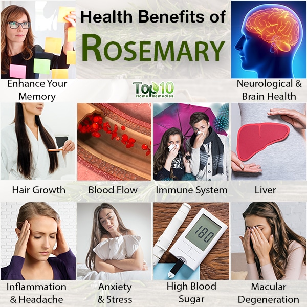 Rosemary Health Benefits and Nutrition Facts Top 10 Home Remedies