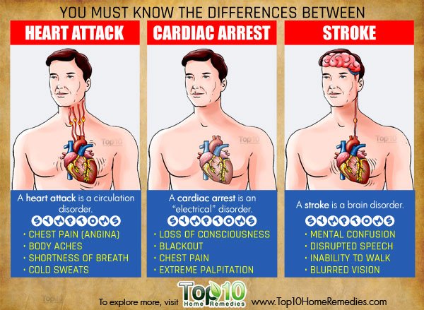 difference between heart attack, stroke and cardiac arrest