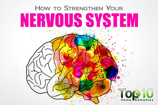 How to Strengthen Your Nervous System | Top 10 Home Remedies