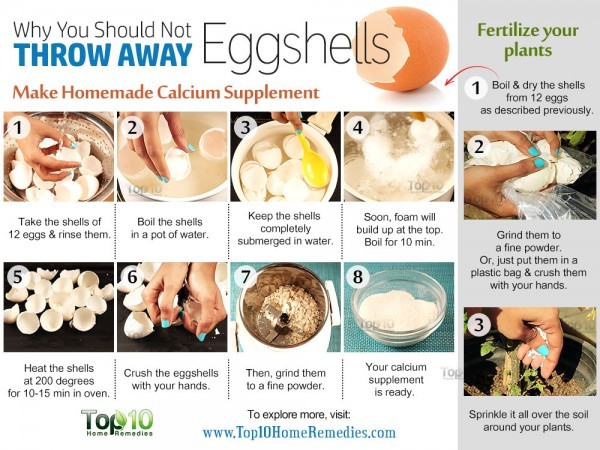 why you should not throw away egg shells