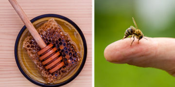Home remedies for yellow jacket stings