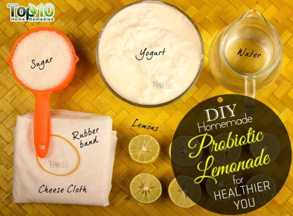 things you need for probiotic lemonade