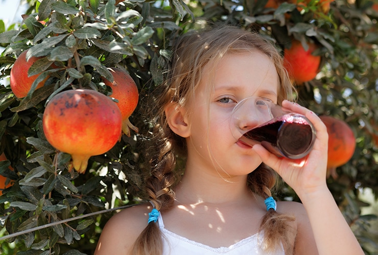 Top 10 Health Benefits of Pomegranates Top 10 Home Remedies