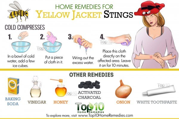 home remedies for yellow jacket stings