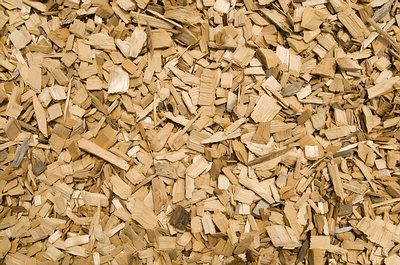 cedar wood chips