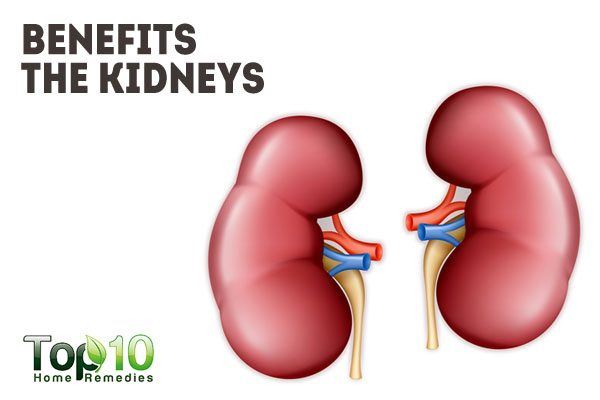 benefits the kidneys