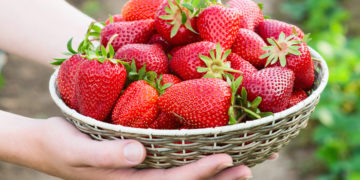 Top 10 Health benefits of strawberries