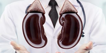 10 Things that are Actually Damaging Your Kidneys