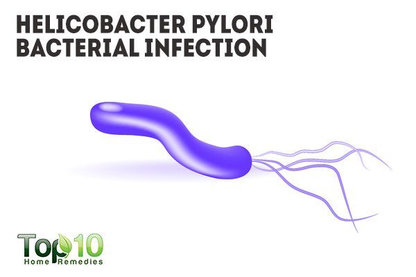 helicobacter pylori leads to peptic ulcer
