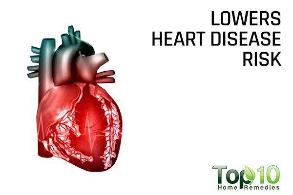 dogs lower heart disease risk