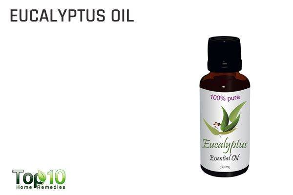 use eucalyptus oil for wheezing