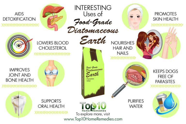 10 Interesting Uses of FoodGrade Diatomaceous Earth Top 10 Home Remedies
