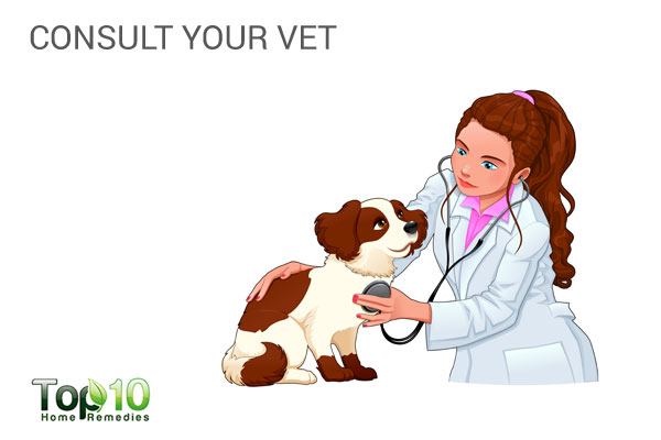 consult your vet to find cause of stress in your dog