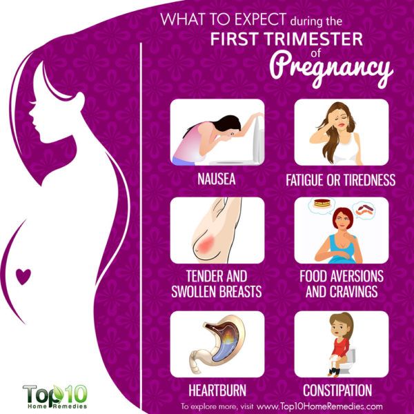what to expect during pregnancy first trimester
