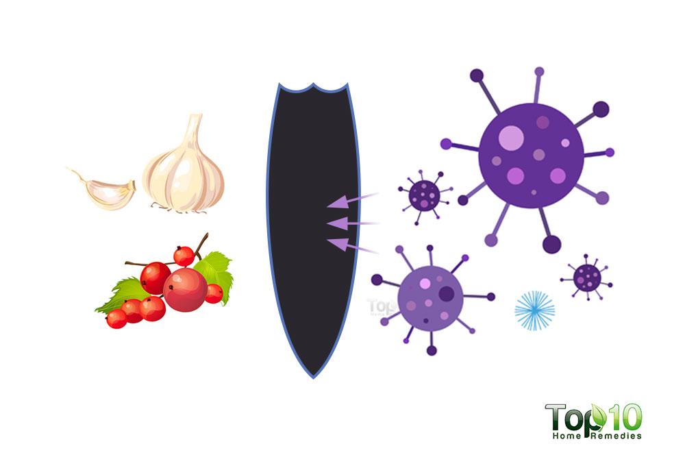 10 Foods that Actually Fight Infections Naturally Top 10 Home Remedies