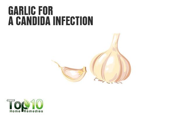 garlic for candida infection