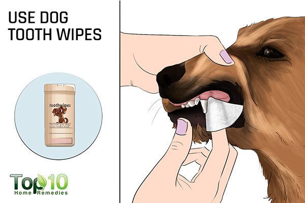 use dog tooth wipes to clean your dog's teeth