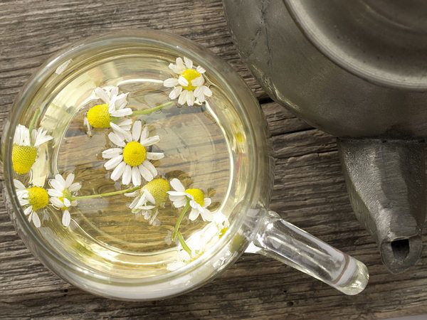 chamomile tea to relieve back pain