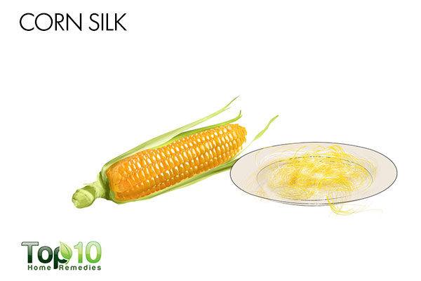 corn silk for cat cystitis